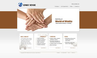 公司網(wǎng)站設(shè)計(jì) 打造專業(yè)、用戶體驗(yàn)卓越的網(wǎng)頁與網(wǎng)站