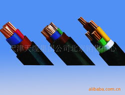 電力電纜技術專家劉國強的專業貢獻與行業影響