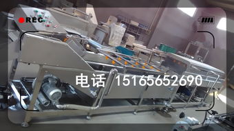 食品清洗線升級(jí)趨勢(shì)解析 佳品牌自加熱清洗機(jī)功能與報(bào)價(jià)綜述